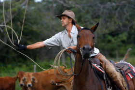 Album photo et carnet de voyages de notre séjour en ranch dans les montagnes du Waterberg en Afrique du Sud - Rando Cheval / Absolu Voyages